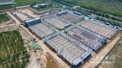 長沙園林景觀公司排名（長沙有看櫻花的地方嗎）（2021長沙園林生態園菊花展地址：星城美麗的邂逅菊花展） 建筑方案設計
