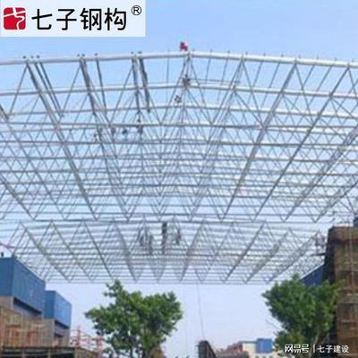 鋼網架安裝有哪些施工方法 結構工業裝備施工 第3張 鋼網架安裝有哪些施工方法 結構工業裝備施工 第3張