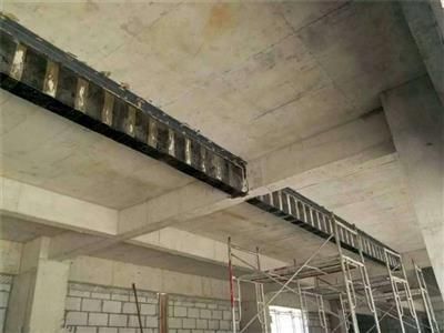 園林綠化施工規范國家規范2021年（2021年園林綠化施工規范中如何應對極端天氣條件下的園林綠化工作） 北京鋼結構設計問答