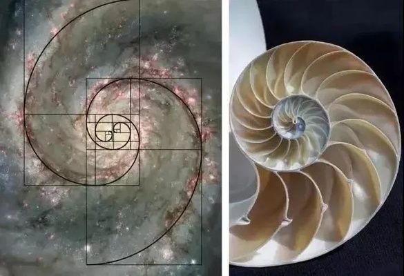 星之星冰箱說明書