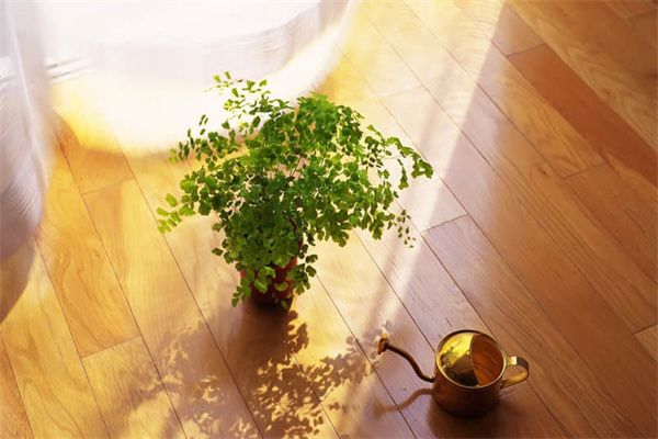 體育館方案設(shè)計說明怎么寫范文（體育館的設(shè)計理念是什么體育館的設(shè)計理念是什么）
