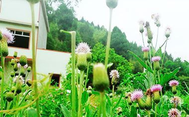 北京改建項目需要哪些手續(北京改建項目所需的主要手續) 結構地下室設計 第4張 北京改建項目需要哪些手續(北京改建項目所需的主要手續) 結構地下室設計 第4張