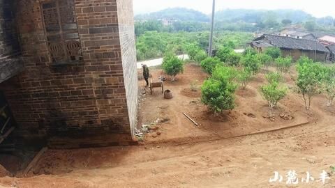 夾山改梁對房子影響大嗎(夾山改梁前后對比) 鋼結(jié)構(gòu)網(wǎng)架設(shè)計 第4張 夾山改梁對房子影響大嗎(夾山改梁前后對比) 鋼結(jié)構(gòu)網(wǎng)架設(shè)計 第4張