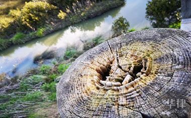 北京土地基準價格查詢(北京土地基準地價最新調整) 鋼結構鋼結構螺旋樓梯設計 第4張 北京土地基準價格查詢(北京土地基準地價最新調整) 鋼結構鋼結構螺旋樓梯設計 第4張
