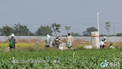 北京基地直供平臺 鋼結構有限元分析設計 第3張