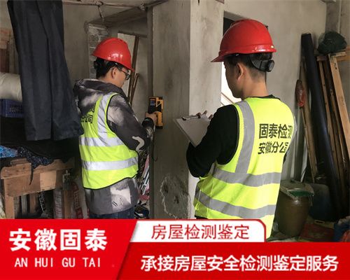 磚混結構的廠房 鋼結構蹦極施工 第3張 磚混結構的廠房 鋼結構蹦極施工 第3張