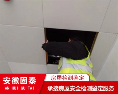 磚混結構的廠房 鋼結構蹦極施工 第2張 磚混結構的廠房 鋼結構蹦極施工 第2張
