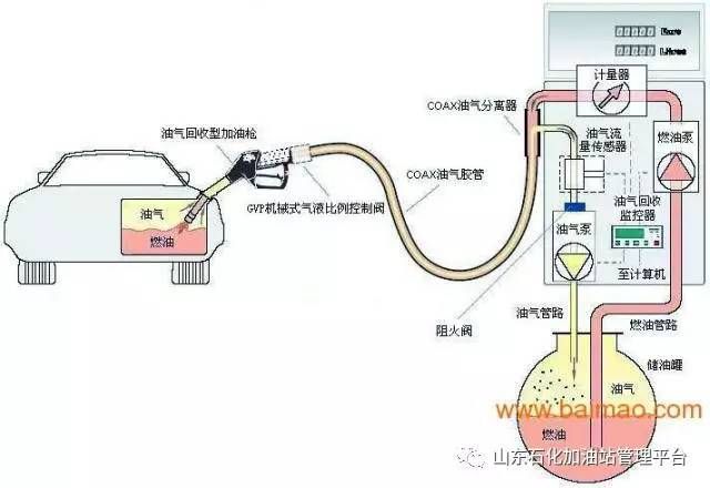 學校的設計使用年限是多少（學校的建筑設計使用年限通常是多久學校的設計使用年限是多久）