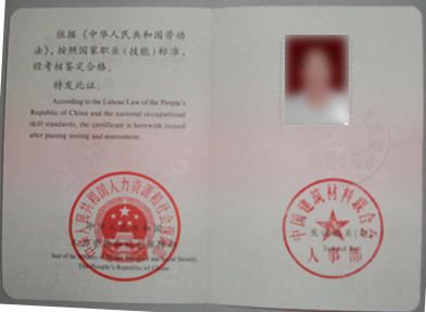 混凝土外加劑技術(shù)服務(wù)工程師(混凝土外加劑工程師行業(yè)前景分析:混凝土外加劑技術(shù)服務(wù)工程師) 裝飾工裝施工 第5張 混凝土外加劑技術(shù)服務(wù)工程師(混凝土外加劑工程師行業(yè)前景分析:混凝土外加劑技術(shù)服務(wù)工程師) 裝飾工裝施工 第5張