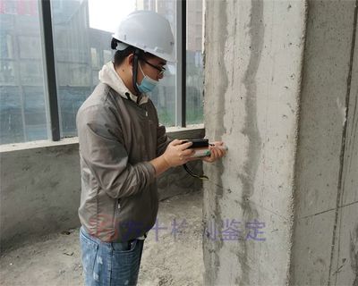 園林綠化管理與養護內容包括（關于園林綠化管理與養護的疑問） 北京鋼結構設計問答