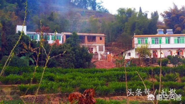 房子加頂 鋼結(jié)構(gòu)門式鋼架施工 第1張 房子加頂 鋼結(jié)構(gòu)門式鋼架施工 第1張