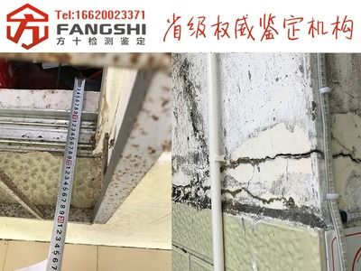 承重墻鑒定機構排名最新 裝飾工裝設計 第4張 承重墻鑒定機構排名最新 裝飾工裝設計 第4張