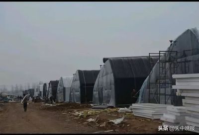 鋼結構展示交易(鋼結構展示交易是什么?) 北京網架設計 第3張 鋼結構展示交易(鋼結構展示交易是什么?) 北京網架設計 第3張