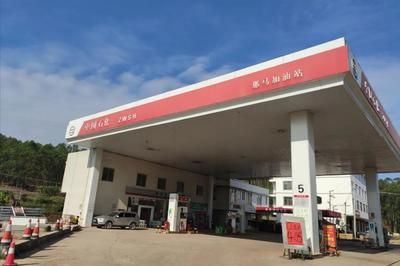加油站罩棚設(shè)計(jì)規(guī)定(加油站罩棚的設(shè)計(jì)規(guī)定) 鋼結(jié)構(gòu)蹦極設(shè)計(jì) 第5張 加油站罩棚設(shè)計(jì)規(guī)定(加油站罩棚的設(shè)計(jì)規(guī)定) 鋼結(jié)構(gòu)蹦極設(shè)計(jì) 第5張