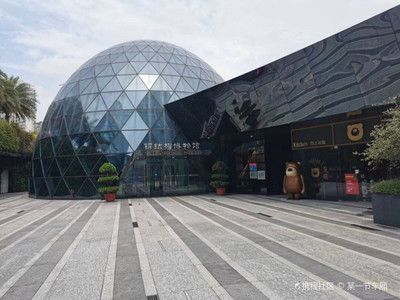 深圳鋼結構博物館需要預約嗎 結構砌體設計 第1張 深圳鋼結構博物館需要預約嗎 結構砌體設計 第1張