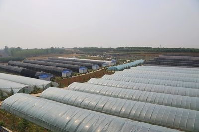 加油站的大棚算什么建筑(加油站大棚的維護(hù)與清潔方法) 結(jié)構(gòu)砌體施工 第3張 加油站的大棚算什么建筑(加油站大棚的維護(hù)與清潔方法) 結(jié)構(gòu)砌體施工 第3張