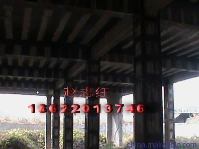 體育館效果圖圖片（體育館的屋頂設(shè)計(jì)采用了什么材料，體育館的設(shè)計(jì)充分考慮到了殘疾人的需求）