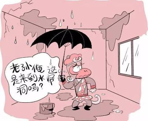 旋轉樓梯怎么支（旋轉樓梯在空間有限的住宅或商業場所中，如何實現高效的空間利用）