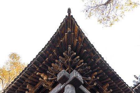 桁架展示圖片大全高清（桁架展示圖片大全） 鋼結(jié)構(gòu)跳臺設(shè)計 第2張