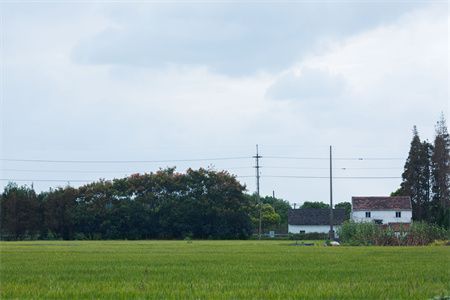 基礎下沉會出現什么情況(基礎下地震對居住者的影響) 裝飾家裝設計 第3張 基礎下沉會出現什么情況(基礎下地震對居住者的影響) 裝飾家裝設計 第3張