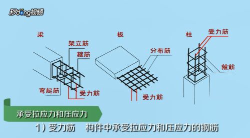 房屋鋼筋圖（房屋鋼筋圖施工注意事項(xiàng)）