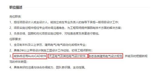 設計單位項目負責人要求沒規定的是需要高工（設計單位項目負責人的要求）