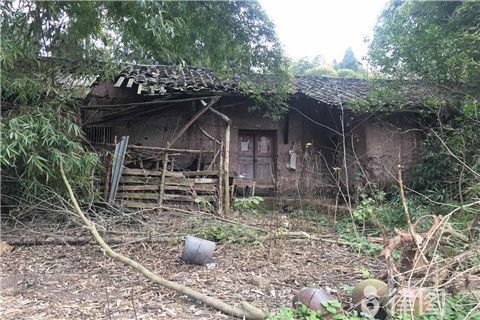 加固改造費用由誰承擔（房屋加固改造的費用承擔主體）