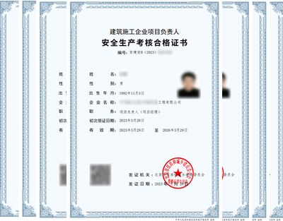 工程設計負責人資格要求依據什么規定（工程設計負責人的資格要求）
