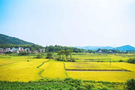 醫用鋼質門的廠家臨朐（貴公司提供的醫用鋼質門是否通過了哪些質量認證）