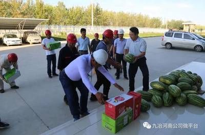 中國鋼結構協會專家胡成喜 裝飾幕墻設計 第1張 中國鋼結構協會專家胡成喜 裝飾幕墻設計 第1張