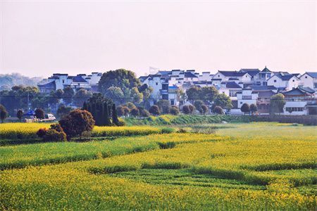 小區(qū)樓房改造歸誰(shuí)管理（小區(qū)樓房改造后的物業(yè)管理）