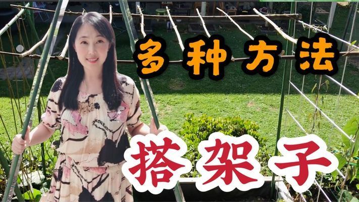 室內搭架子方法視頻(室內吊頂安裝架子方法) 結構砌體施工 第2張 室內搭架子方法視頻(室內吊頂安裝架子方法) 結構砌體施工 第2張