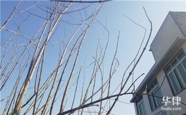 廠房租賃合同常見陷阱（400-818河源廠房租賃合同陷阱條款教你如何防范） 北京鋼結構設計 第9張