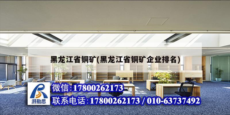 黑龍江省銅礦(黑龍江省銅礦企業(yè)排名) 裝飾幕墻施工