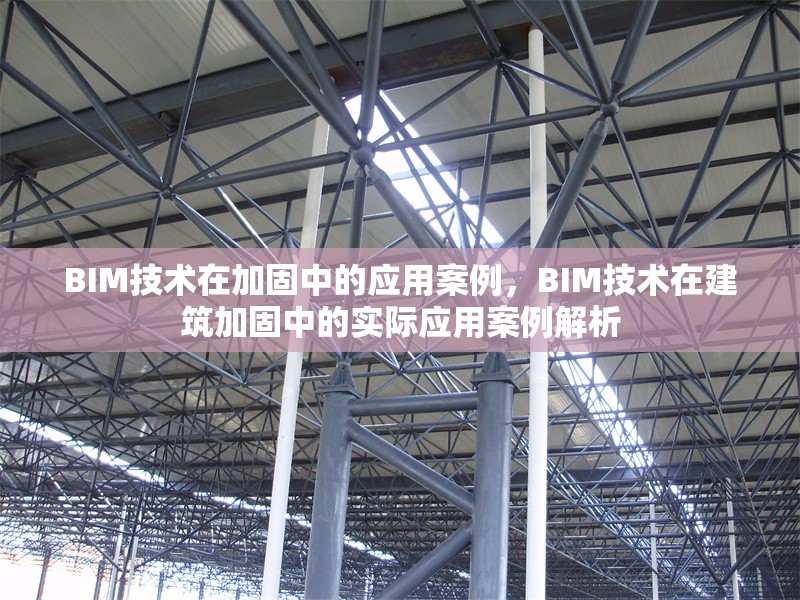 BIM技術(shù)在加固中的應(yīng)用案例，BIM技術(shù)在建筑加固中的實(shí)際應(yīng)用案例解析