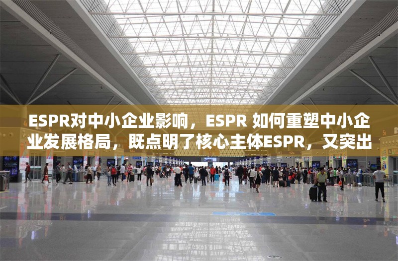 ESPR對中小企業影響，ESPR 如何重塑中小企業發展格局，既點明了核心主體ESPR，又突出了其對中小企業的影響這一關鍵內容，重塑……格局這樣的表述也增添了一種動態感和重要性，容易引發讀者對 ESPR 在中小企業領域作用的深入探究興趣， 行業新聞 第1張