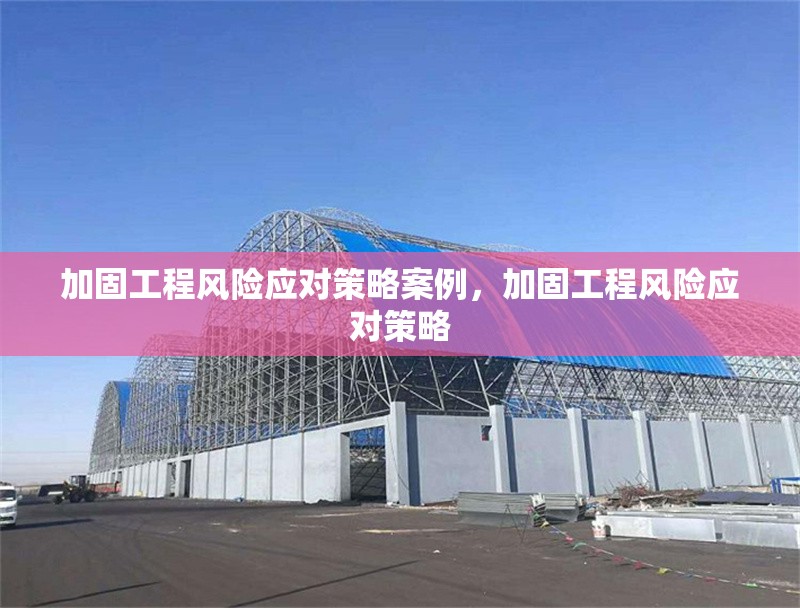加固工程風險應對策略案例，加固工程風險應對策略