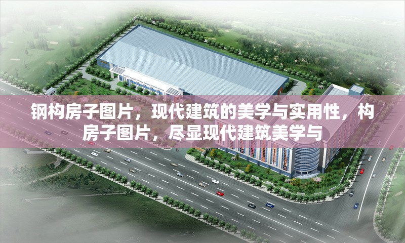 鋼構房子圖片，現代建筑的美學與實用性，構房子圖片，盡顯現代建筑美學與 行業新聞