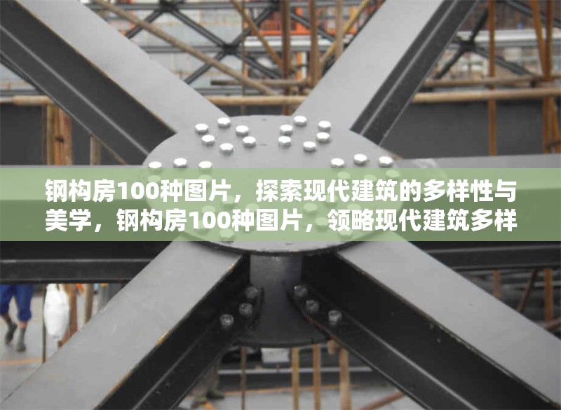 鋼構(gòu)房100種圖片，探索現(xiàn)代建筑的多樣性與美學(xué)，鋼構(gòu)房100種圖片，領(lǐng)略現(xiàn)代建筑多樣美學(xué)