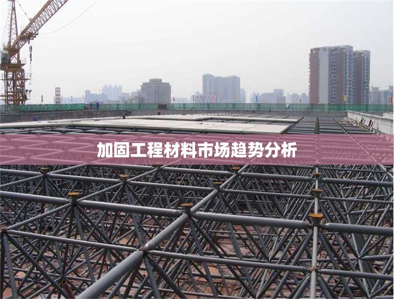 加固工程材料市場趨勢分析