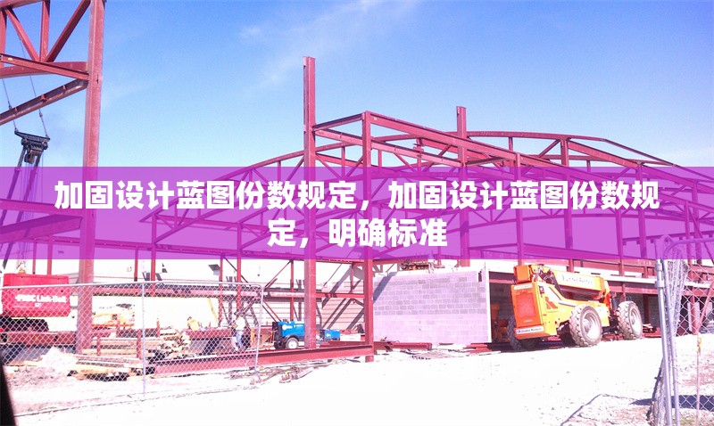 加固設計藍圖份數規定，加固設計藍圖份數規定，明確標準