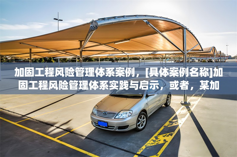 加固工程風險管理體系案例，[具體案例名稱]加固工程風險管理體系實踐與啟示，或者，某加固工程風險管理體系構(gòu)建及應用案例剖析，或者