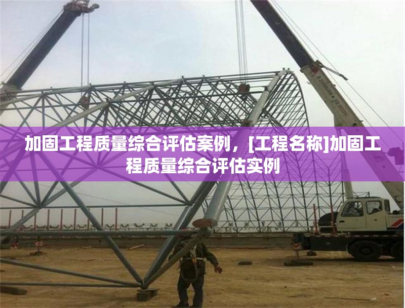 加固工程質量綜合評估案例，[工程名稱]加固工程質量綜合評估實例