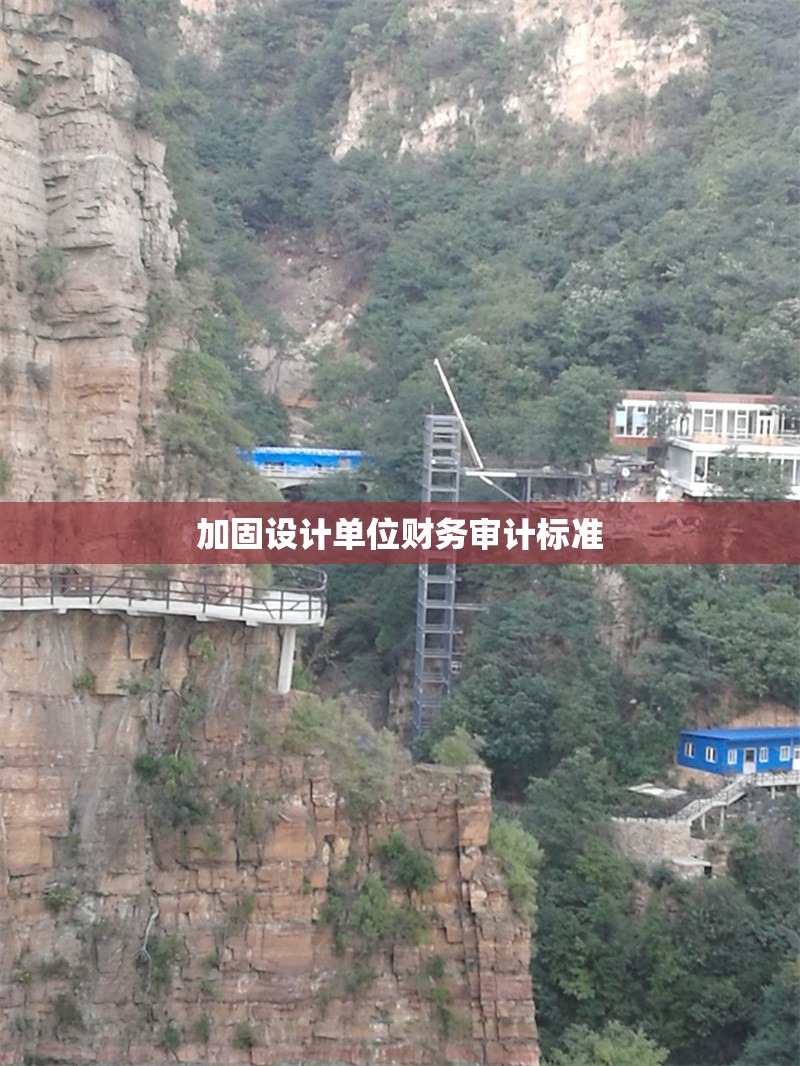 加固設(shè)計(jì)單位財(cái)務(wù)審計(jì)標(biāo)準(zhǔn)