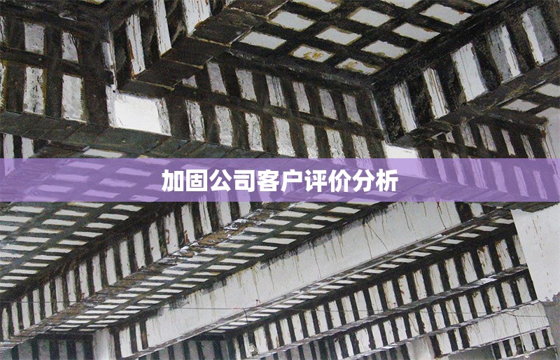 加固公司客戶評價分析