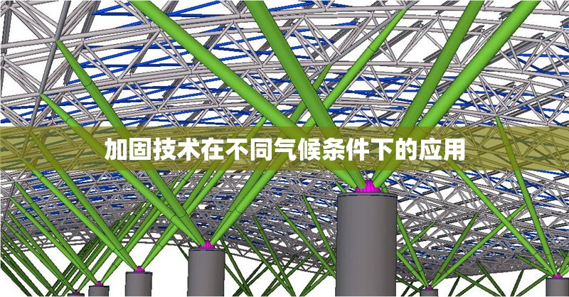 加固技術在不同氣候條件下的應用 行業新聞 第1張