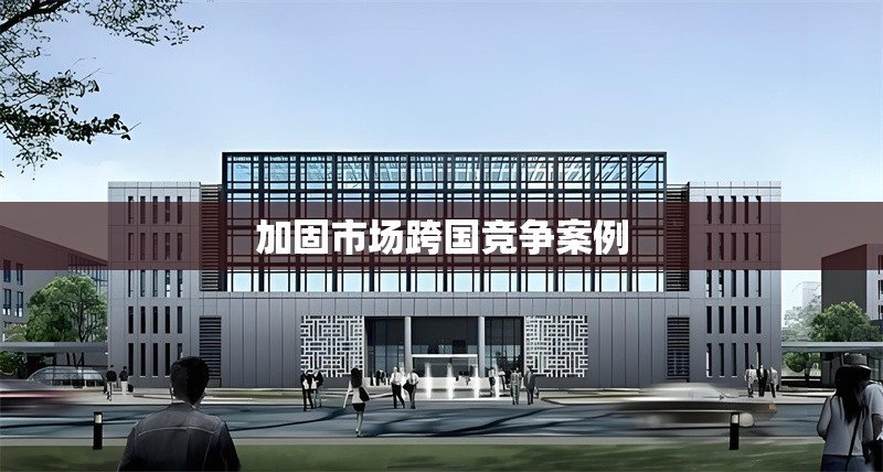 加固市場(chǎng)跨國(guó)競(jìng)爭(zhēng)案例
