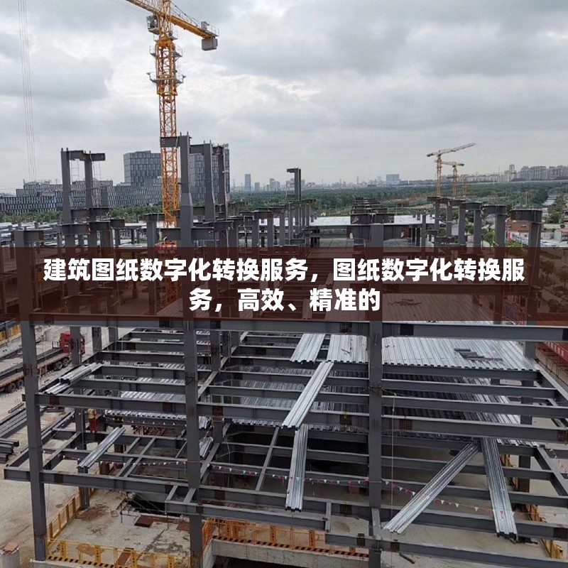 建筑圖紙數(shù)字化轉(zhuǎn)換服務(wù)，圖紙數(shù)字化轉(zhuǎn)換服務(wù)，高效、精準(zhǔn)的