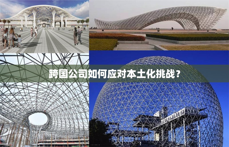 跨國公司如何應對本土化挑戰？