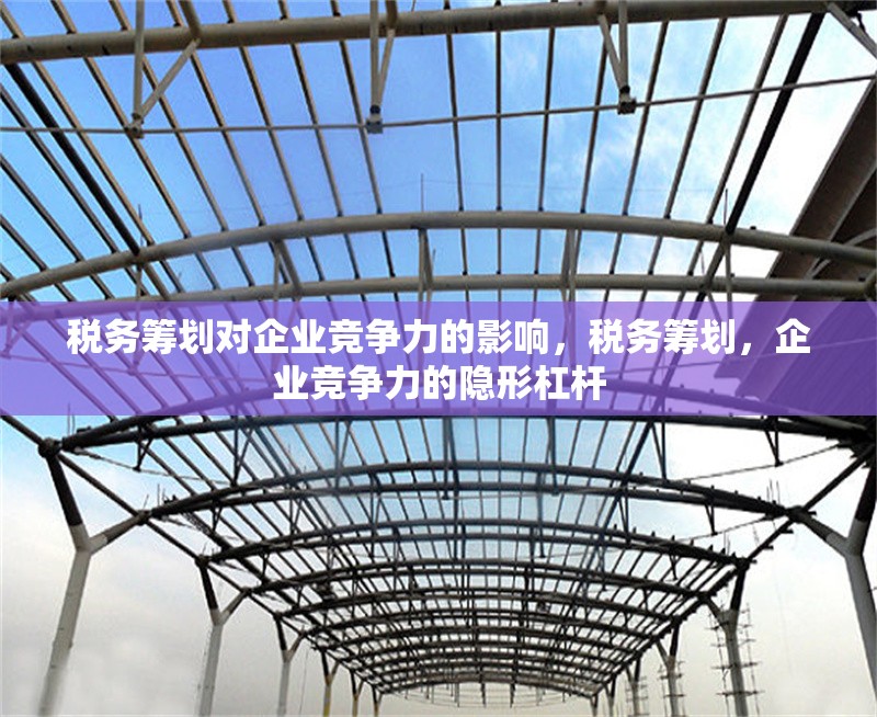 稅務籌劃對企業競爭力的影響，稅務籌劃，企業競爭力的隱形杠桿 行業新聞 第6張